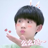 王源么么哒表情包