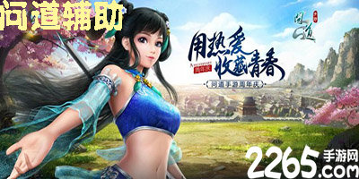 问道辅助