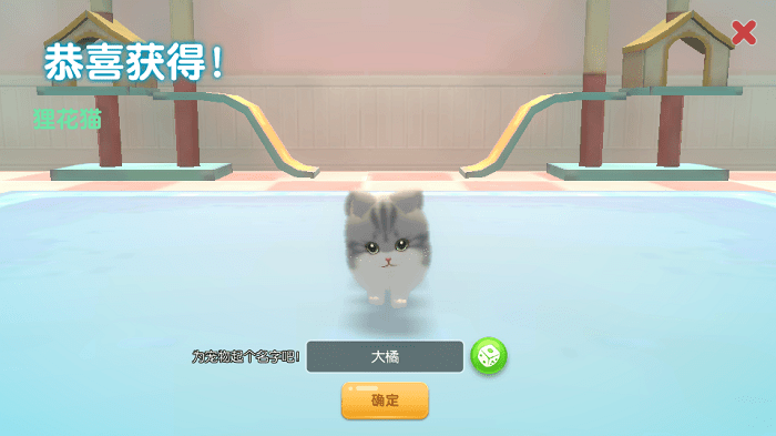 养了个猫2025最新版