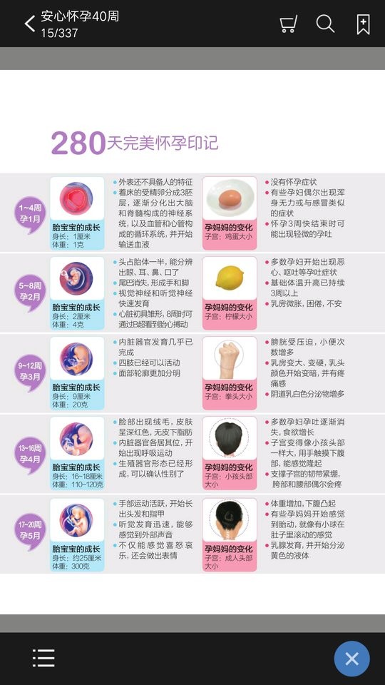 安心怀孕40周手机版