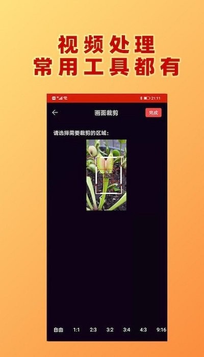hc视频加文字客户端