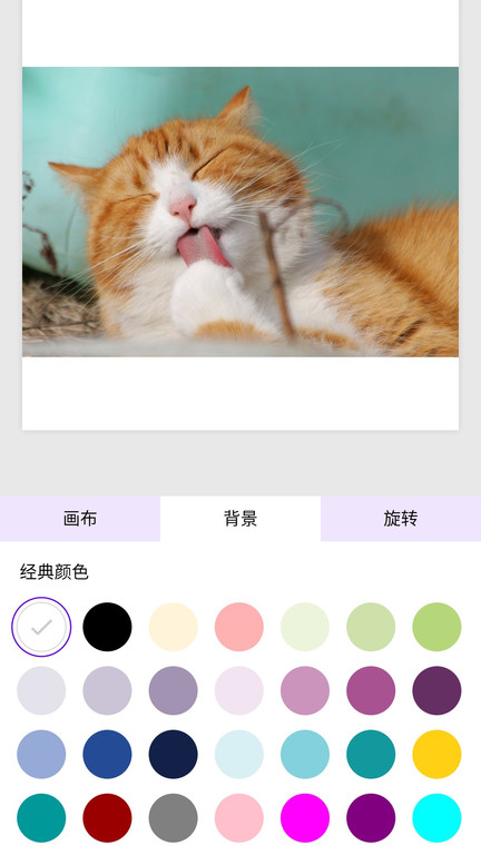 白边框app