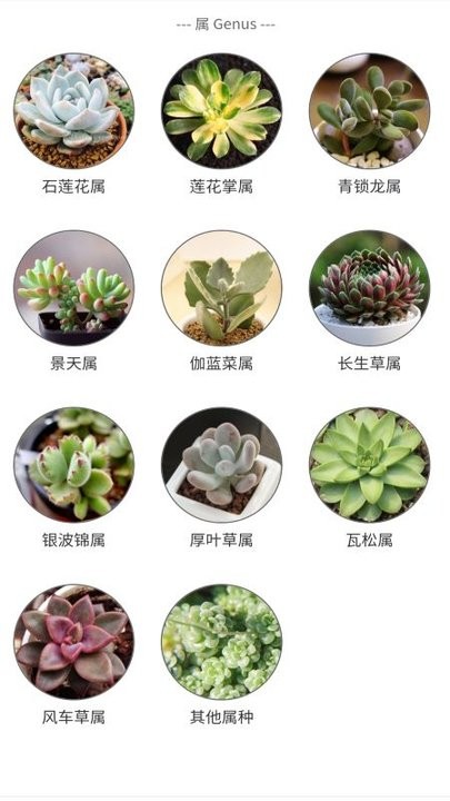孕期帮手app