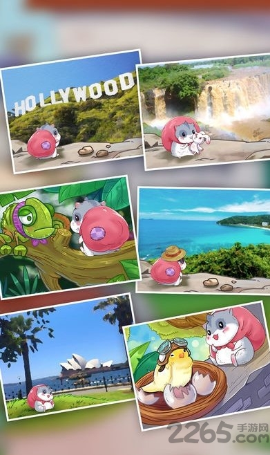 旅行仓鼠