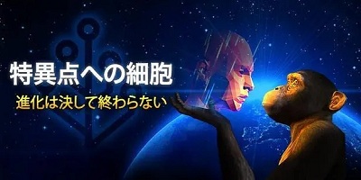 细胞进化游戏