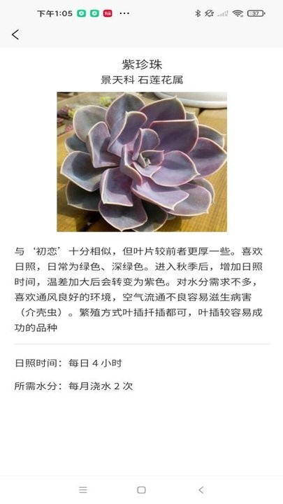 孕期帮手app