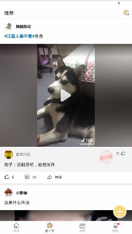 皮皮车app