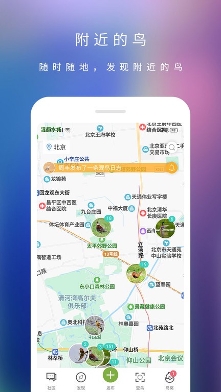 爱鸟鸟类百科