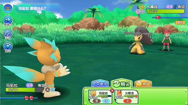 口袋日月新手攻略说明