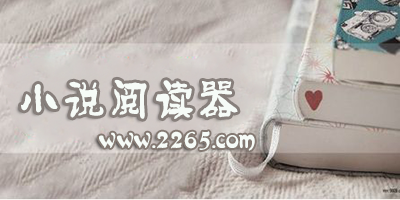 小说阅读器