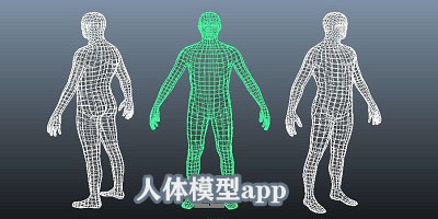人体模型app