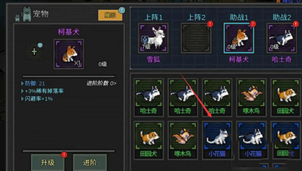 像素危城汉化版宠物卸下来教程 像素危城中文版宠物卸下来教程