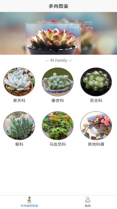 孕期帮手app