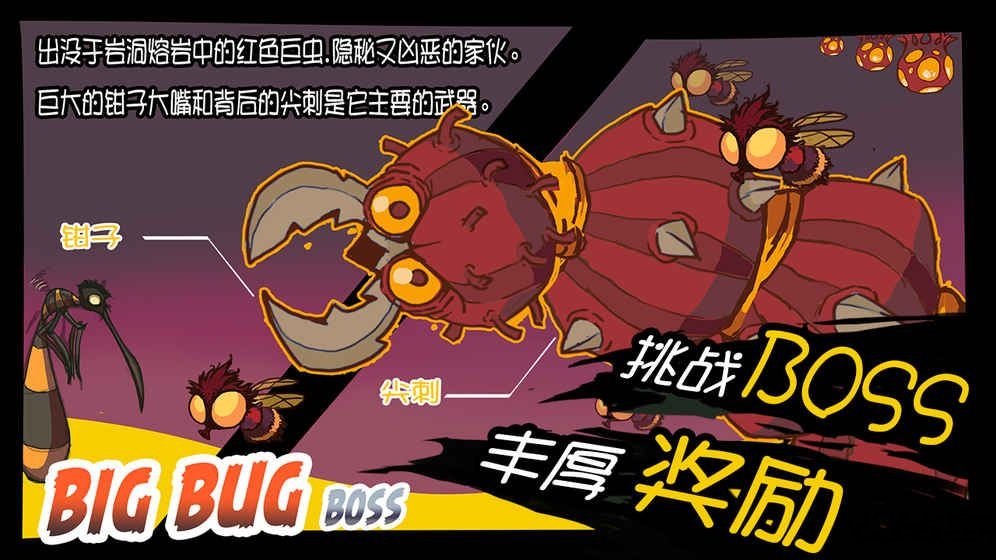 甲虫进化史中文版