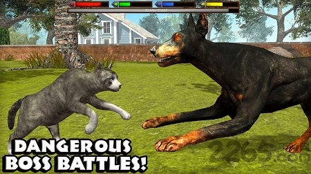 终极猫模拟器汉化版