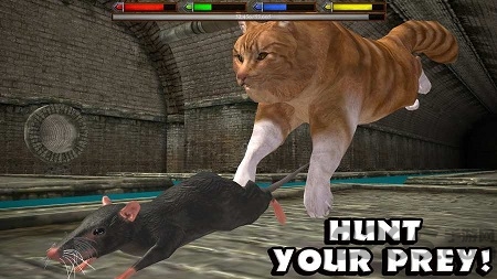 终极猫模拟器汉化版