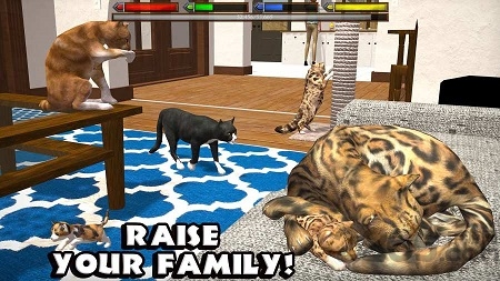 终极猫模拟器汉化版