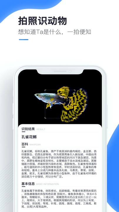 百科扫描王app 百科扫描王免费下载app