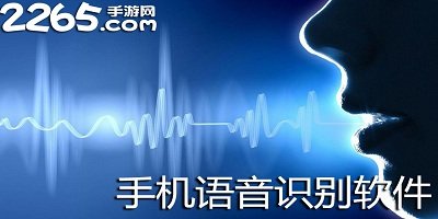 语音识别软件