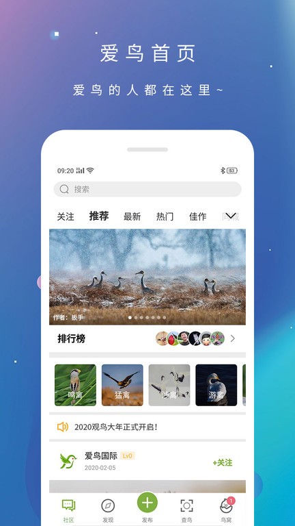 爱鸟鸟类百科