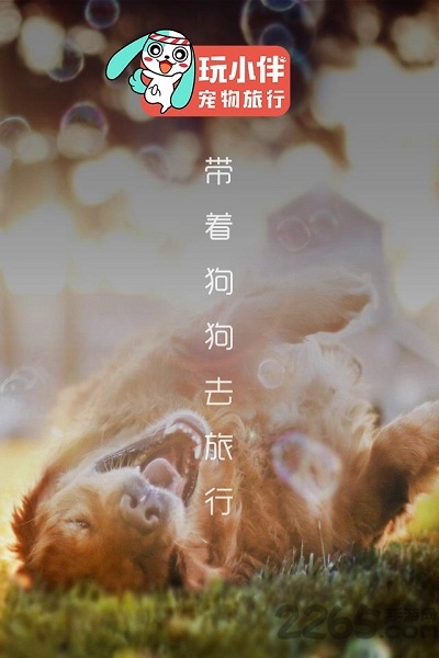 小伴宠物安卓版 小伴宠物app下载