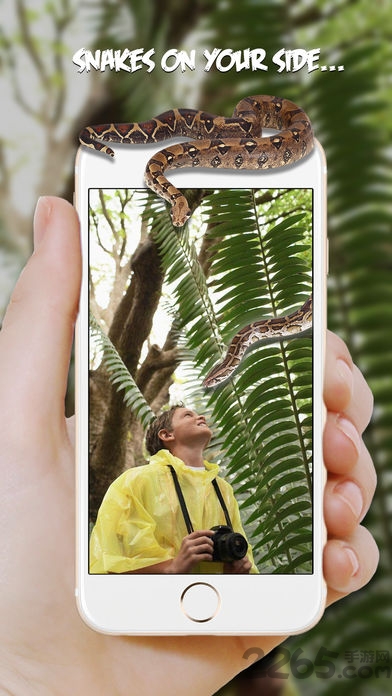 蛇在屏幕上爬手机版