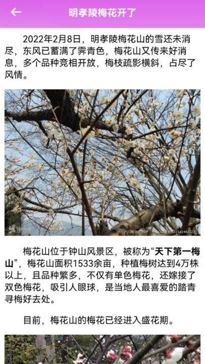 风华百景一日游手机版
