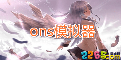 ons模拟器