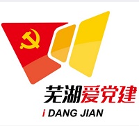 芜湖先锋爱党建