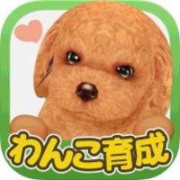 掌上狗狗中文版