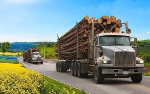 重型货车模拟器游戏(long cargo truck)