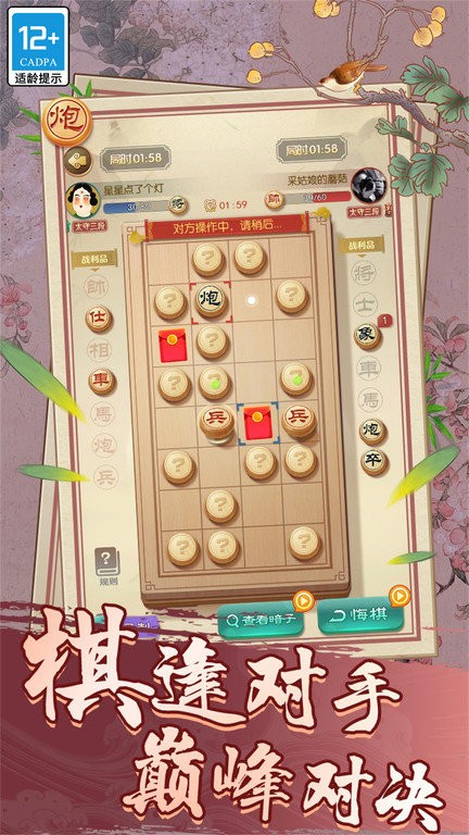 天天玩象棋手机版
