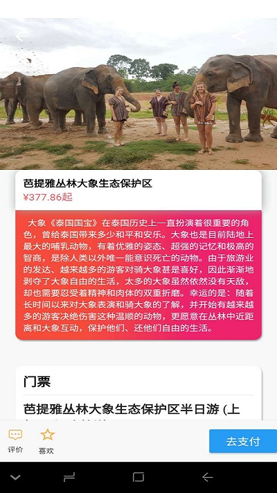 途猪旅行