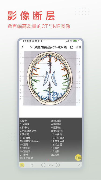 人体解剖3D免费下载安装手机版