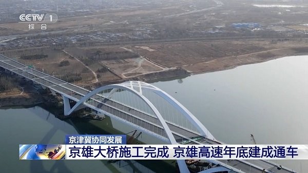 大视界tv最新版 大视界手机版下载安装