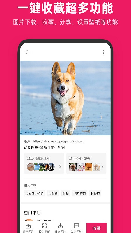 图片搜搜最新版下载