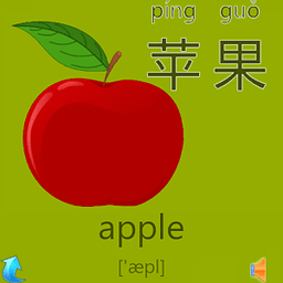 常用汉字识字卡片软件