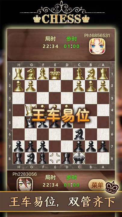 天梨国际象棋中文版