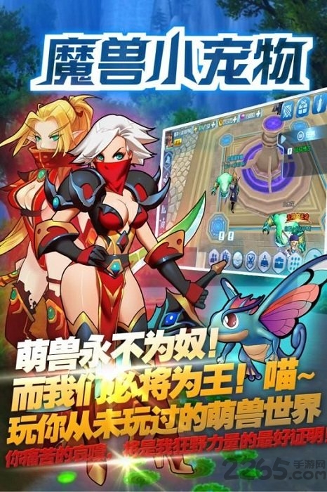 魔兽小宠物游戏