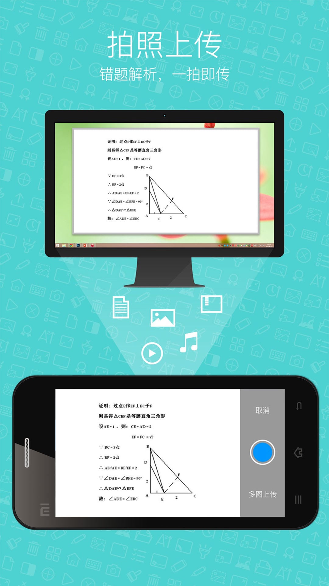 seewolink手机版下载