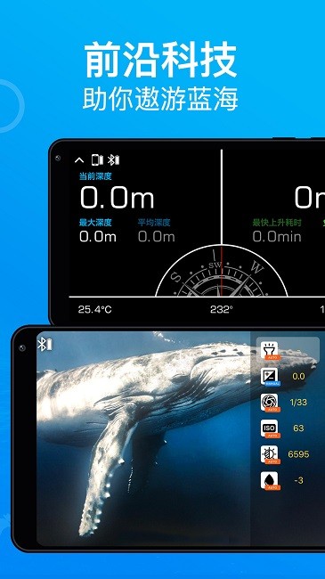 dive+app