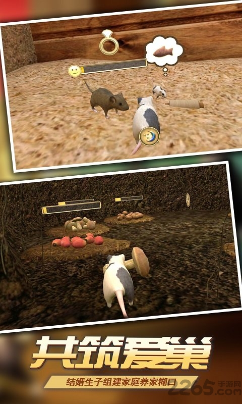 真实老鼠模拟中文版