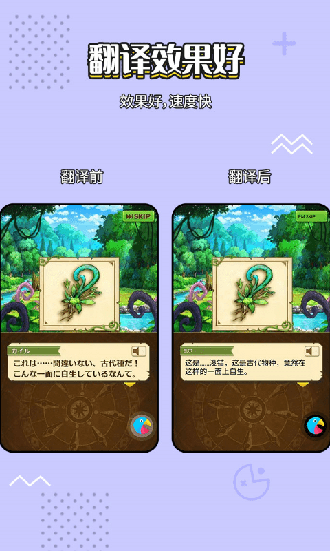 岛风实时翻译软件