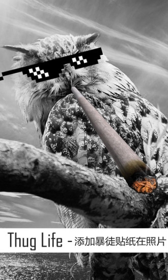 暴徒生活thug life软件