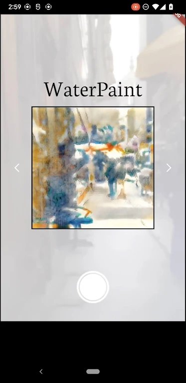 probewindow相机绘画app