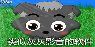 类似灰灰影音app