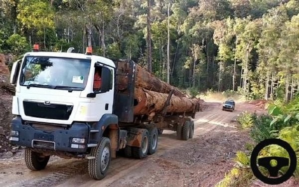 重型货车模拟器游戏(long cargo truck)