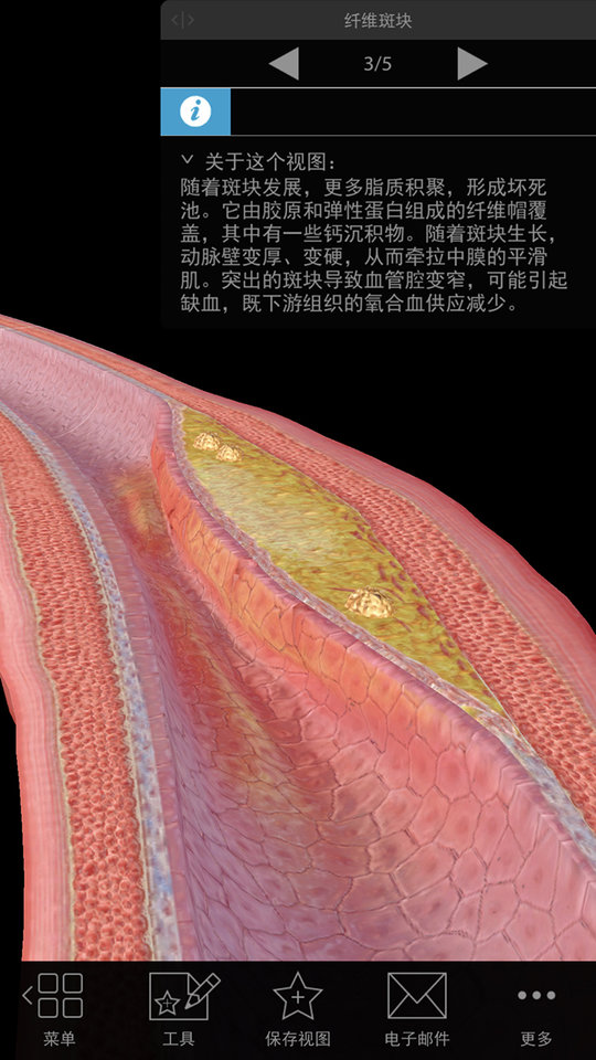 3d生理和病理学软件