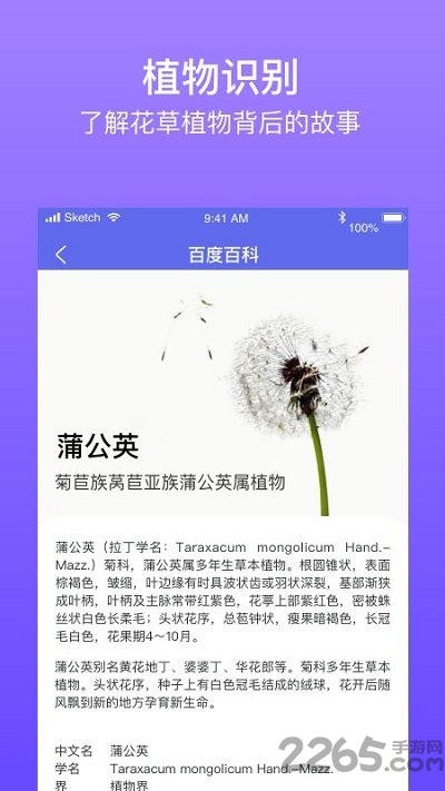 拍拍识图识字手机版
