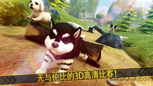 我的梦想宠物小狗